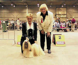 thsang-pa win the breed at dogshow den bosch