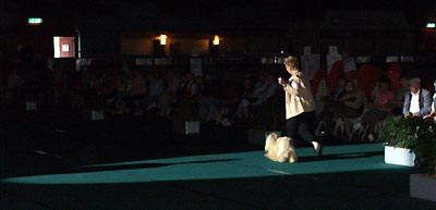 Lhasa Apso Topwinning Champion EL Minja's Thsang-Pa Best in Show Arnhem 2004