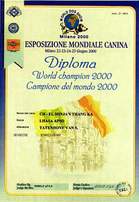 diploma3J.jpg (20691 bytes)