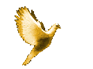 dove-left-gold.gif (32838 bytes)