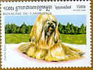 Lhasa Apso postzegels - Stamps
