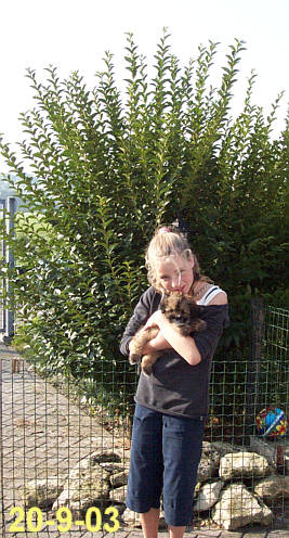 lhasa apso nederlands duits en amerikaans kampioen EL Minja's Jasmine with her Lhasa Apso puppies