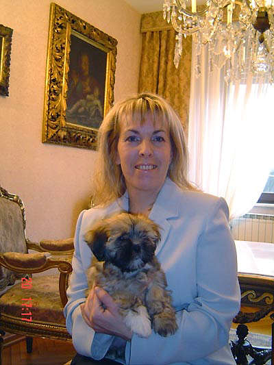 Lhasa Apso EL Minja's Sweet Sensation