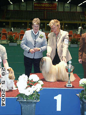 Lhasa Apso Topwinning Champion EL Minja's dogs Top Lhasa Apso of the year 2003