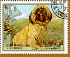 Lhasa Apso postzegels - Stamps
