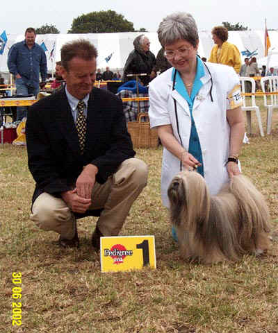 Lhasa Apso win in Uden, Holland
