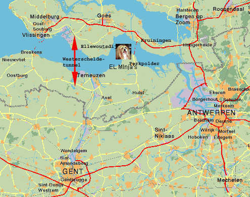 westerschelde tunnel verbinding