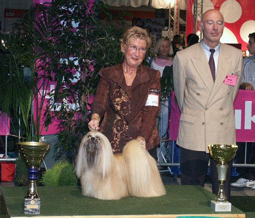 Lhasa Apso foto van Sylvia met Thsang-pa de winnaars in de ERE-ring