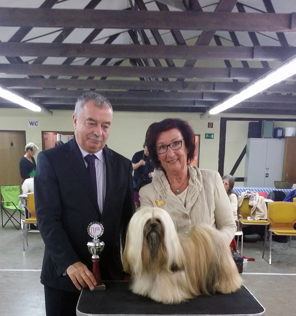 Lhasa Apso best in show EL Minja's Sengdroma