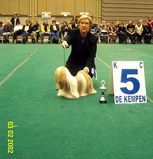 LHASA APSO CHAMPION EL MINJA'S DREAM ON