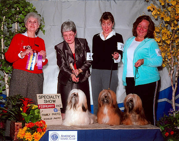 Lhasa apso showdogs winners