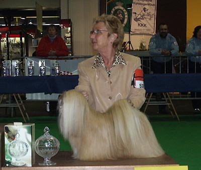 Lhasa Apso Topwinning Champion EL Minja's dogs Top Lhasa Apso of the year 2003