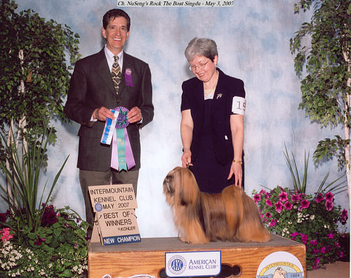 lhasa apso champion Rocky