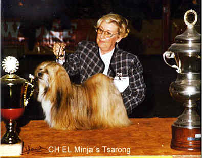 Lhasa Apso kennel EL Minja's,world famous Lhasa Apso kennel represented in all continents