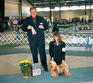 Lhasa Apso champion Wind in the Willow