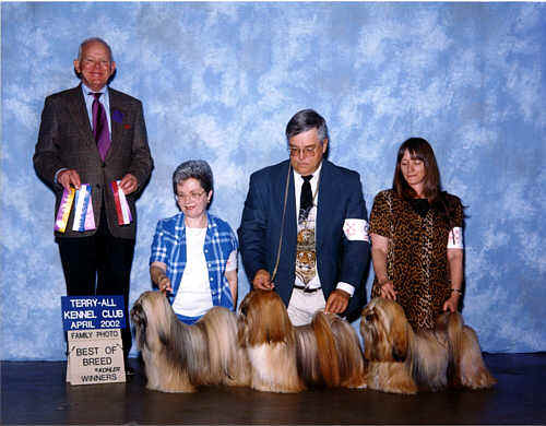 Best American Champion Lhasa Apso Family