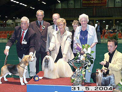 Lhasa Apso Topwinning Champion EL Minja's Thsang-Pa Best in Show Arnhem 2004