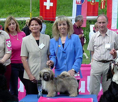 Lhasa Apso EL Minja's Sweet Sensation daughter of Topwinning Champion EL Minja's Thsang-Pa Best in Show Arnhem 2004