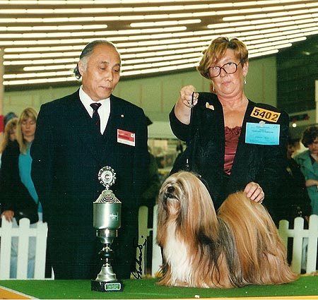 Lhasa Apso kennel EL Minja's,world famous Lhasa Apso kennel represented in all continents