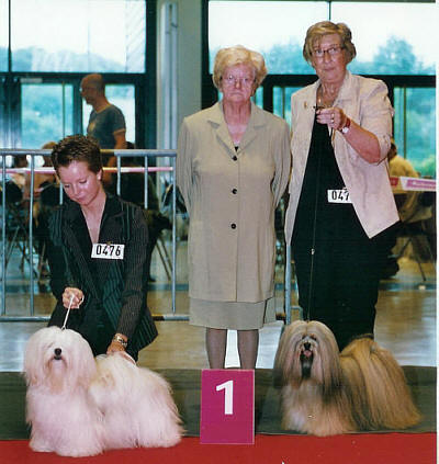 Lhasa Apso wins at Leuven dogshow - el minja's Kha-Char