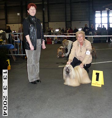 Lhasa Apso Topwinning Champion EL Minja's dogs Top Lhasa Apso of the year 2003