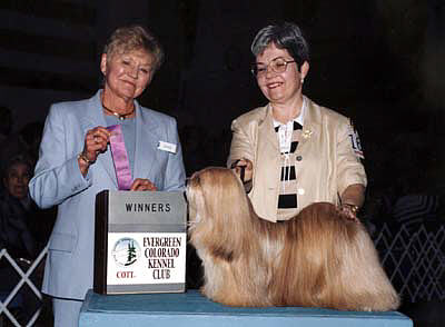 LHASA APSO CHAMPION EL MINJA'S JASMINE