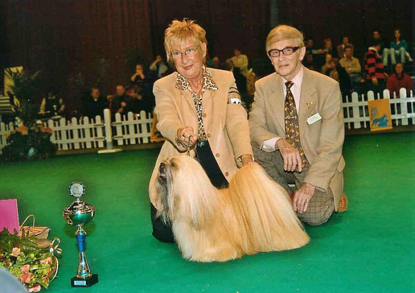 Lhasa Apso Champions Top Dog