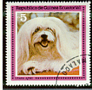 Lhasa Apso postzegels - Stamps