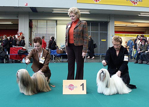 The exhibition ring at Amsterdam winner and winster 2005