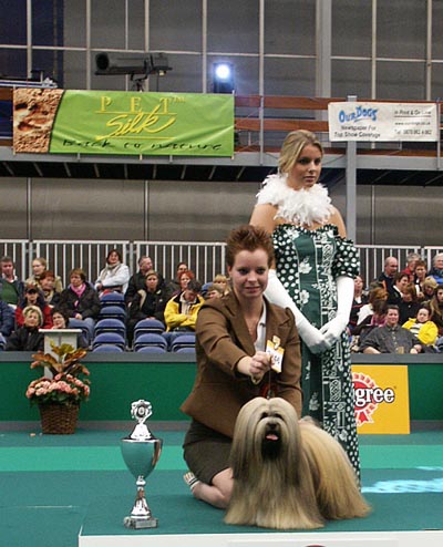 The honary ring judging at Amsterdam Reserve best in group our Lhasa Apso Kalif