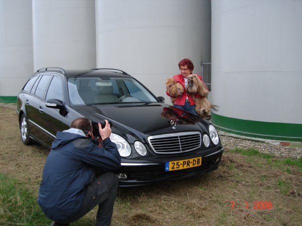 lhasa apso in the media
