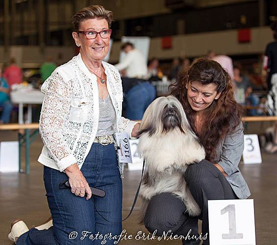 Lhasa Apso dogshow news 2012 archive