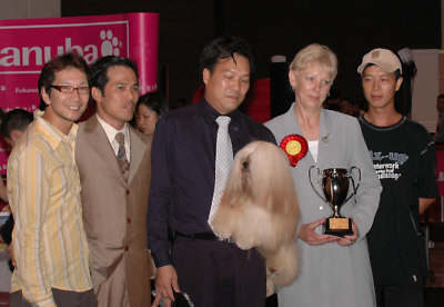 Lhasa Apso Topwinning Champion EL Minja's Twister at Hong Kong dogshow